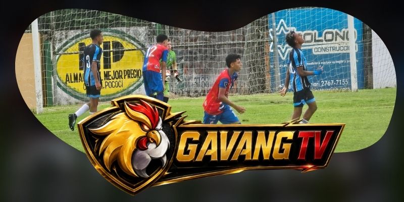Tổng hợp dự đoán kèo AD Cariari Pococi vs Pitbulls ngày 04/09 theo nhịp tấn công