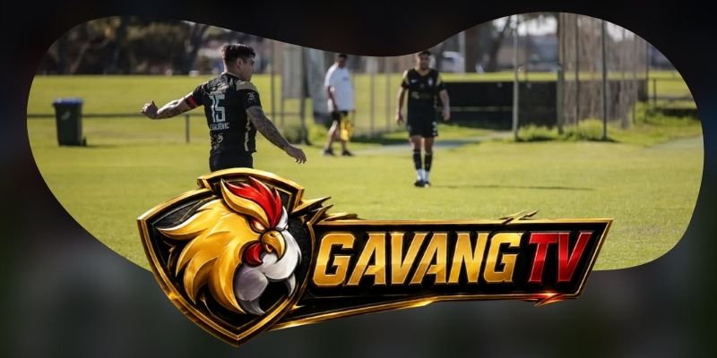 Dự Đoán Trận AD Cariari Pococi Vs Pitbulls 02h00 04/09
