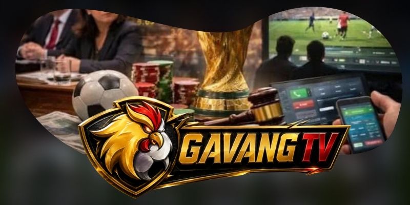 Câu hỏi thường gặp khi theo dõi nhiều giải bóng đá