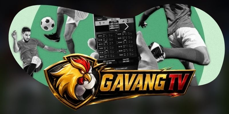 Nhật ký phát video hỗ trợ cải thiện trải nghiệm xem