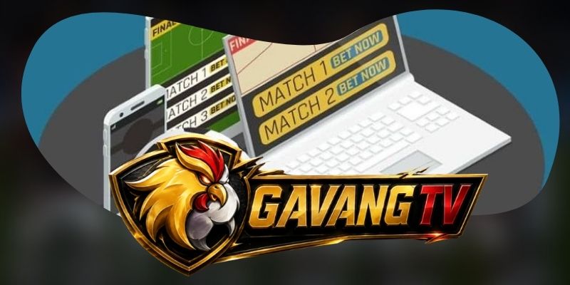 Điều khoản và điều kiện quy định cách dùng nội dung