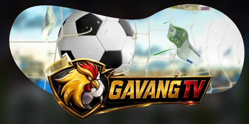 Gà Vàng TV tổ chức nội dung thể thao theo từng thời điểm