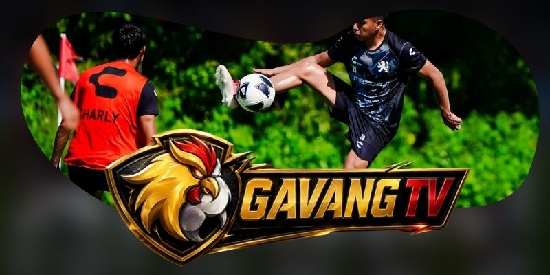 Tổng hợp dự đoán kèo trận Toluca vs Club Leon ngày 03/09 theo nhịp mở cuối trận