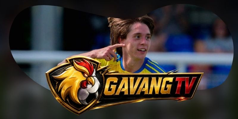 Tổng hợp dự đoán kèo Hungary vs Ukraine ngày 26/09 theo cửa phản đòn