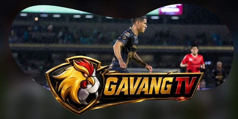 Tổng hợp dự đoán kèo trận Pumas U.N.A.M. vs Club Leon ngày 11/09 theo ưu thế Olimpico