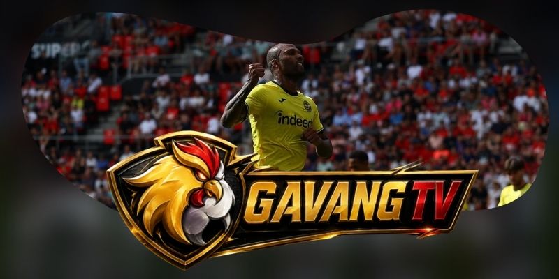 Phân tích phong độ Brentford vs Liverpool qua độ chắc ở hai đầu sân