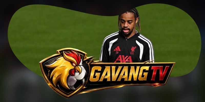 Tổng hợp dự đoán kèo trận Brentford vs Liverpool ngày 17/10
