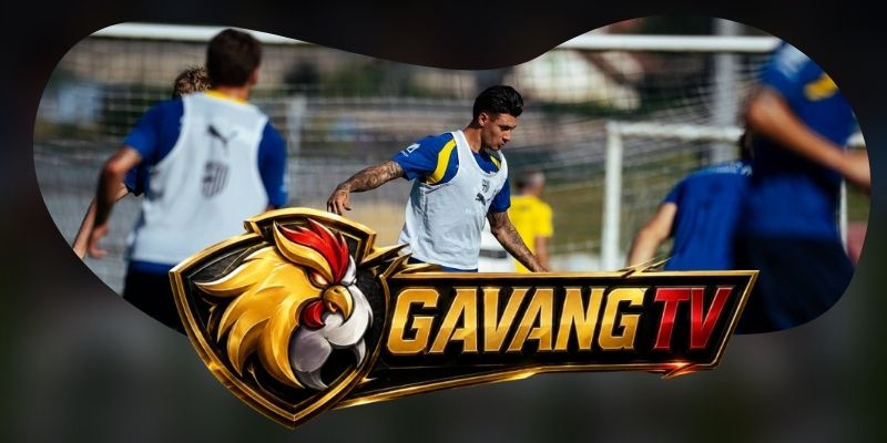 Tổng hợp dự đoán kèo trận Parma vs Torino ngày 20/10 theo thế cân bằng
