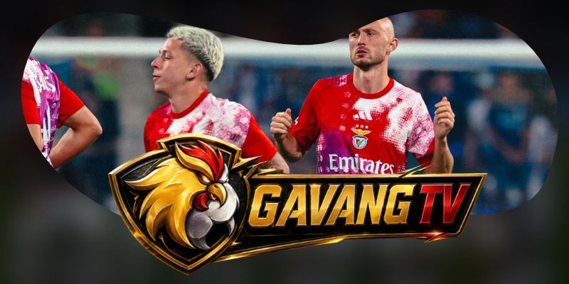 Dự Đoán Trận Santa Clara Vs Benfica 01h45 27/10